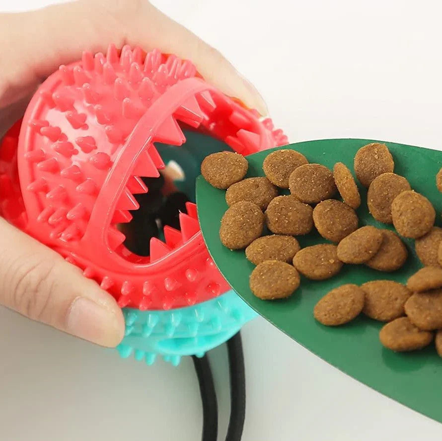 PowerPaw durable tug rope for dogs