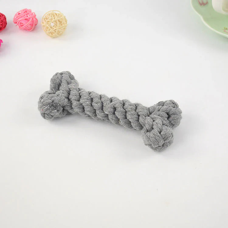 Dog chewing the rope dental toy