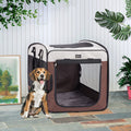 Pet inside the drying and travel box