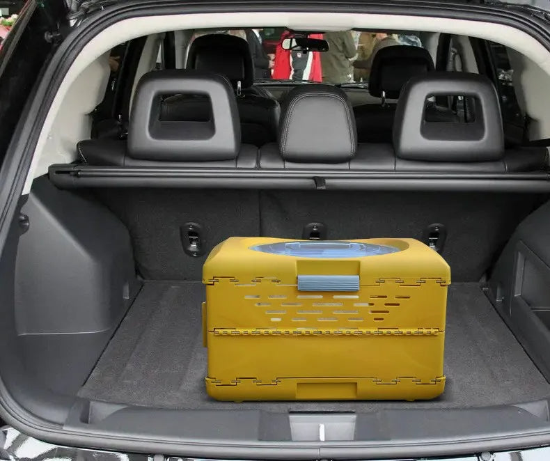 Pet inside the foldable travel crate
