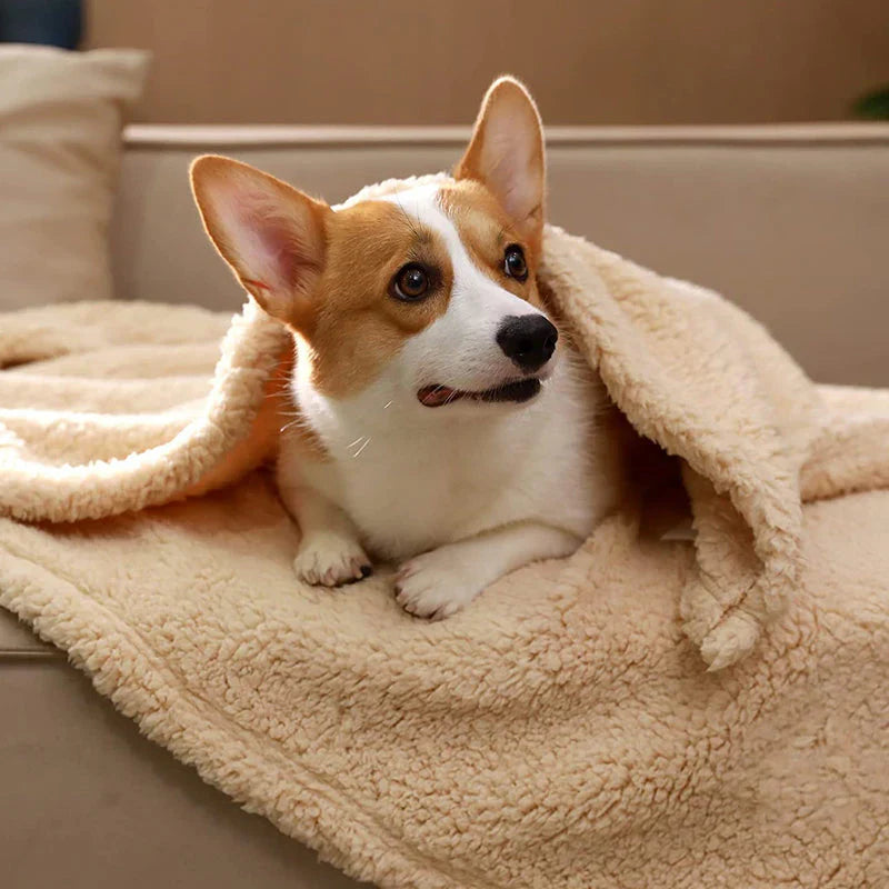 Puppy curled up on the SnuggleFur fleece blanket