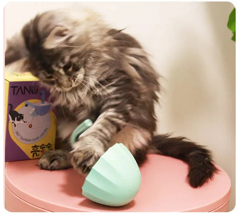 Cat chasing the LaserChase laser toy