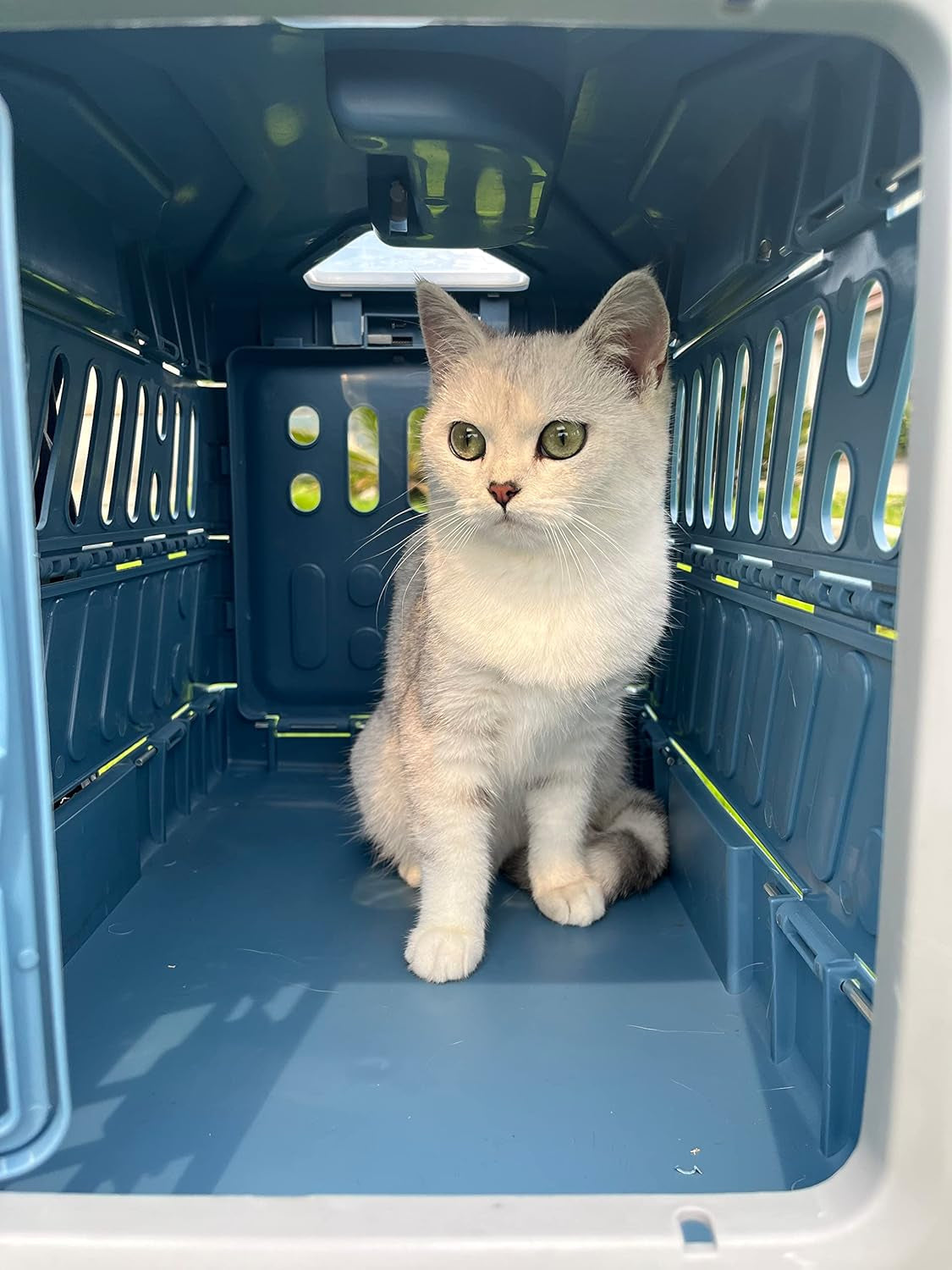 Foldable pet travel crate in yellow