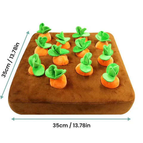 Small dog playing with the carrot snuffle garden