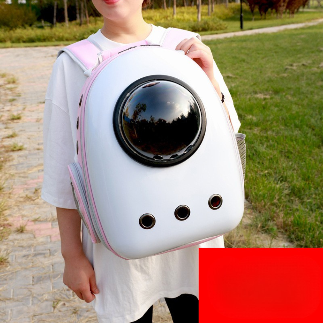 Person wearing the cat backpack carrier