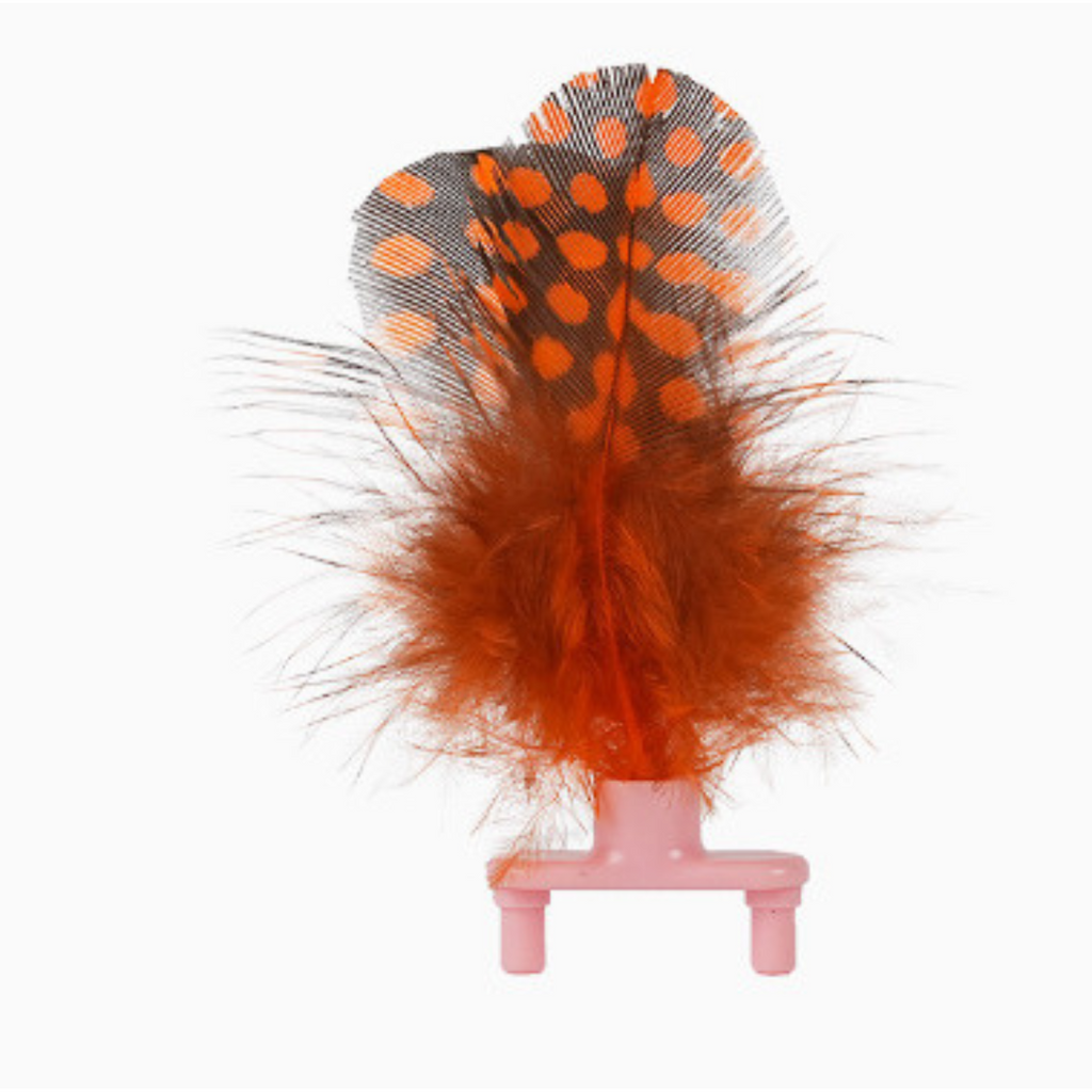 Interactive bee cat toy colours