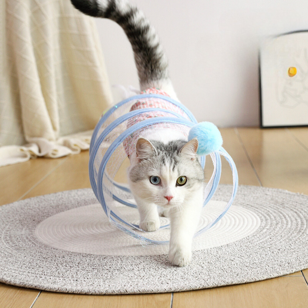 Blue cat play tunnel