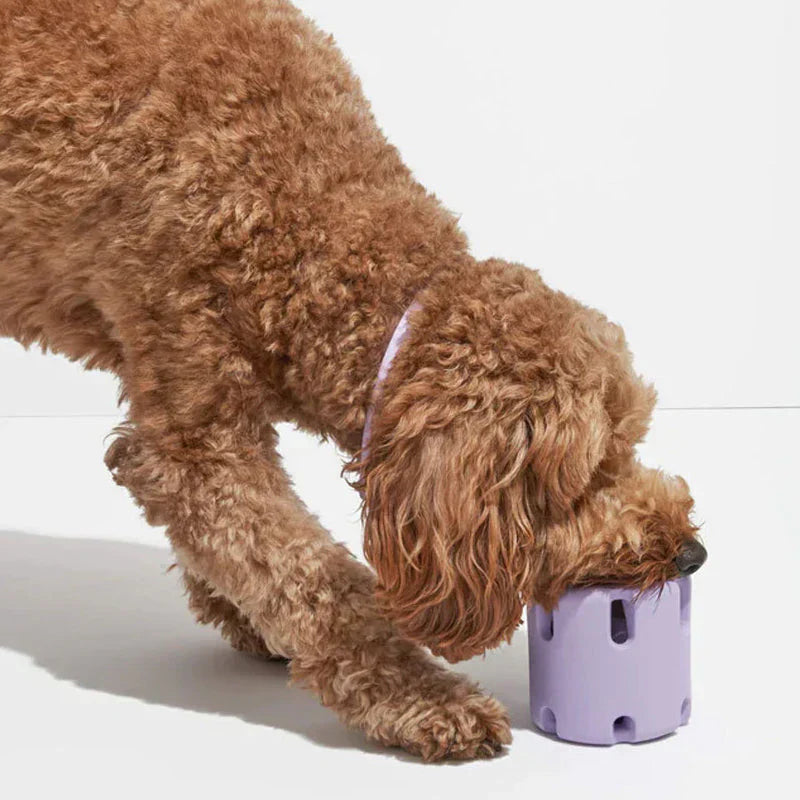 BounceBite dental bounce toy for dogs