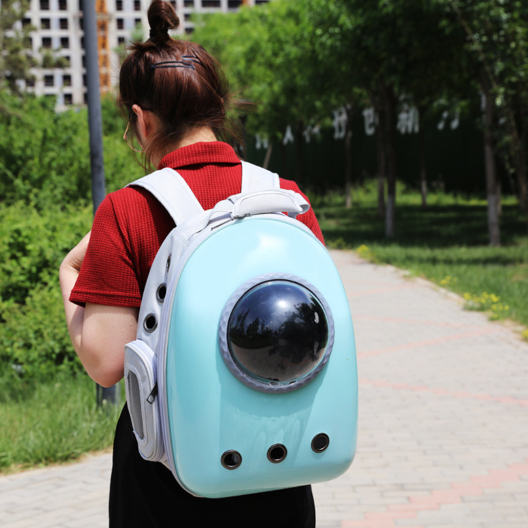 Cat looking out of the backpack carrier bubble window