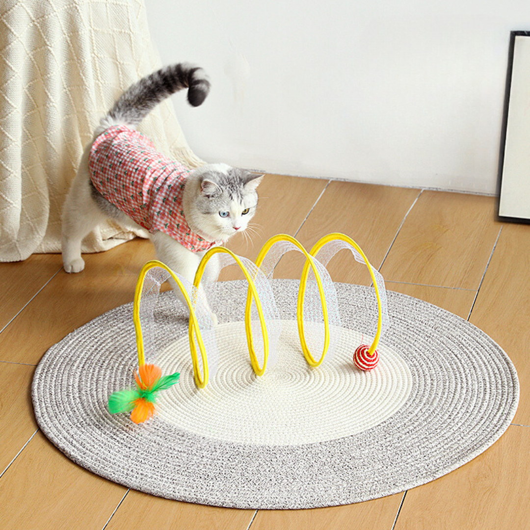 Cat exploring the play tunnel