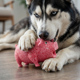 Tough latex squeaky dog toy with funny animal sounds