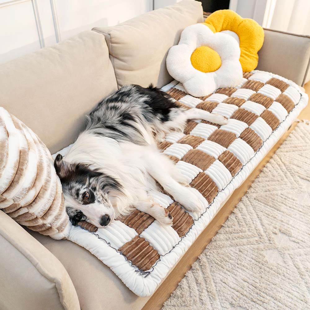 CosyGuard chenille pet blanket draped over a sofa