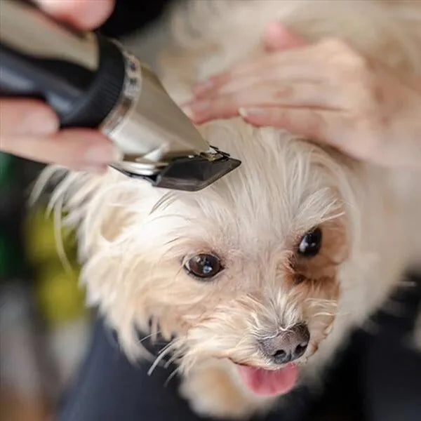 Quiet dog clipper with comb guard attachments