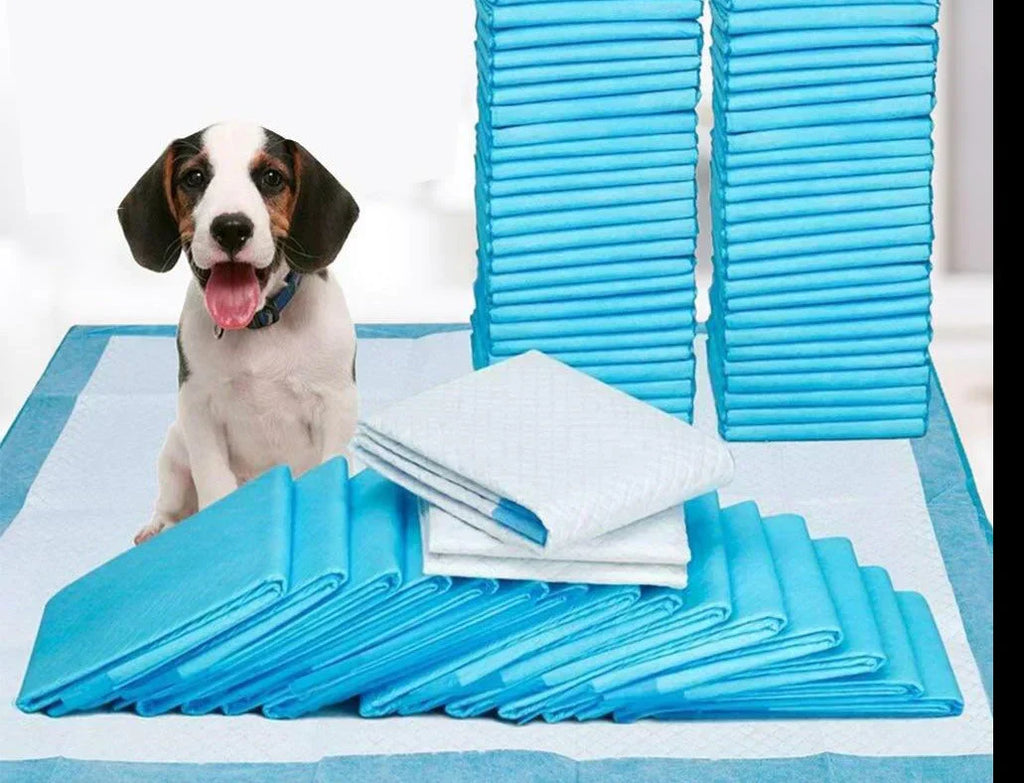 EasyPipi puppy training pads