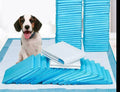 EasyPipi puppy training pads