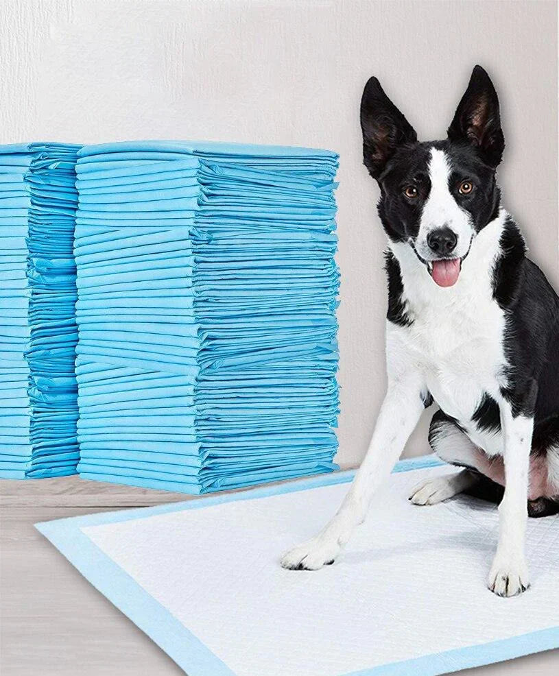 Absorbent puppy training pad in use