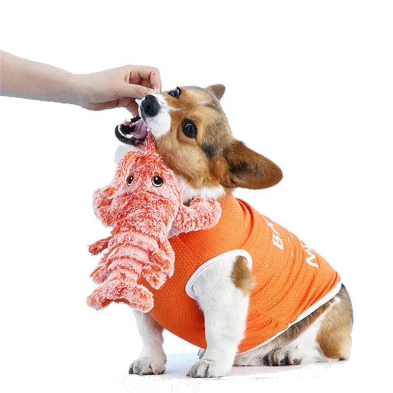 Dog playing with the jumping crab toy