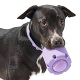 Natural rubber tennis ball chew toy