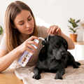 Gentle Pet Ear Cleaner – Odour-Neutral Formula for Dogs &amp; Cats