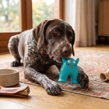 Tough dental chew toy for dogs, teeth-cleaning monster