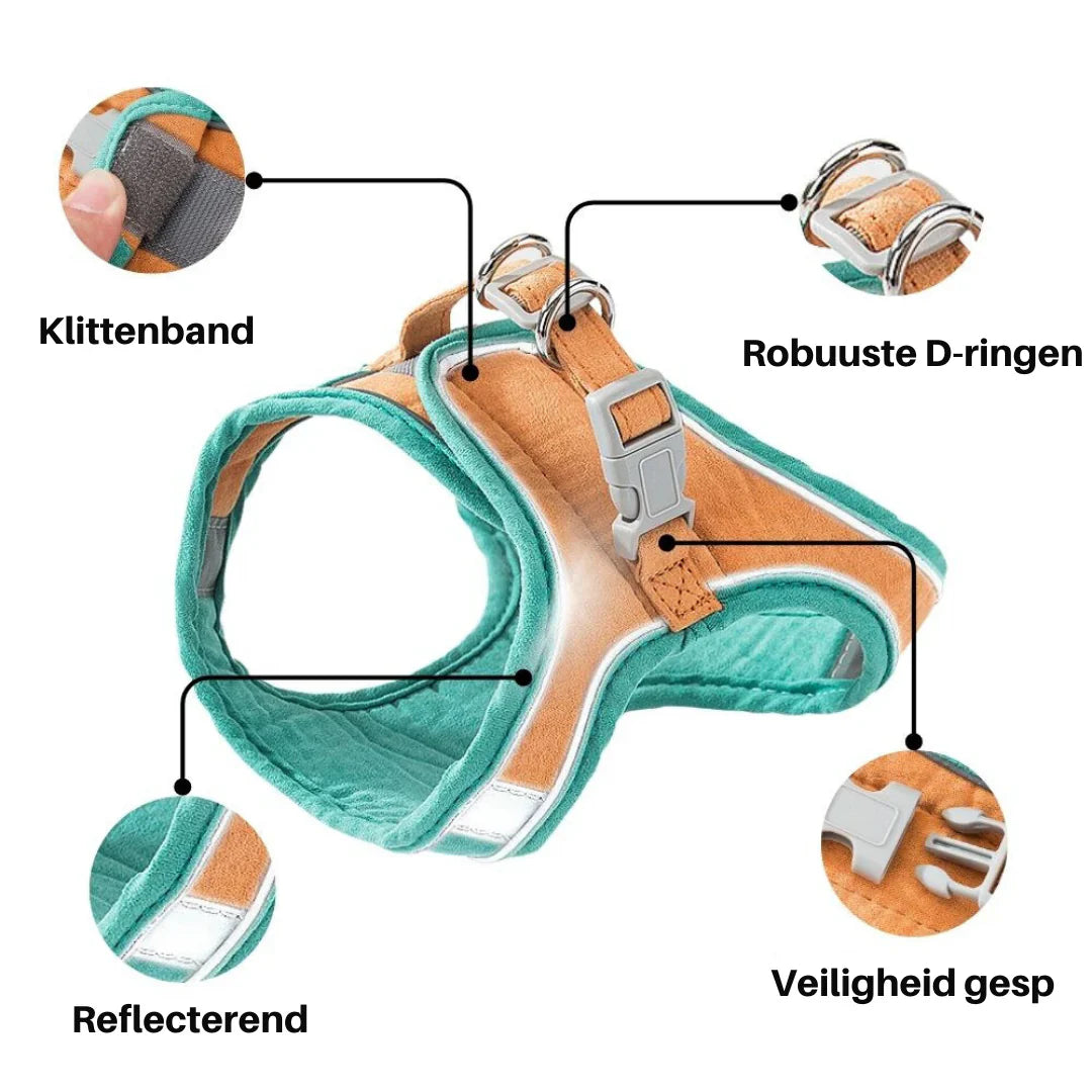 Oscar cat harness in its three colour combinations