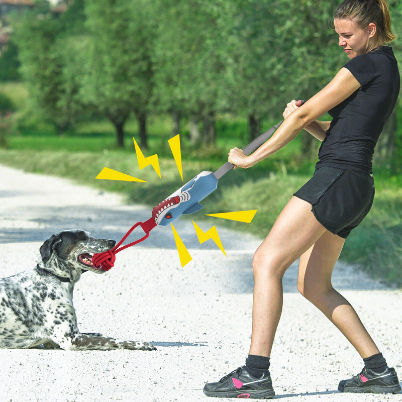 Dog tugging the rope toy