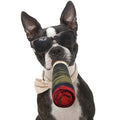 Cigar-shaped squeaky dog chew toy