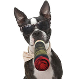 Cigar-shaped squeaky dog chew toy