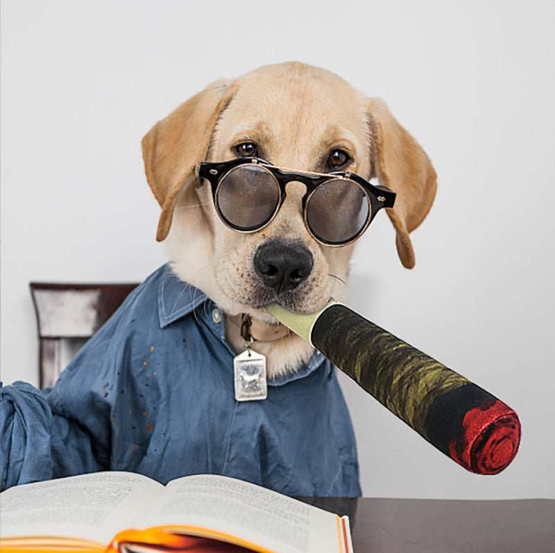 Dog chewing the cigar-shaped toy