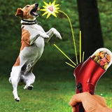 SnackPlay interactive treat dispenser for pets