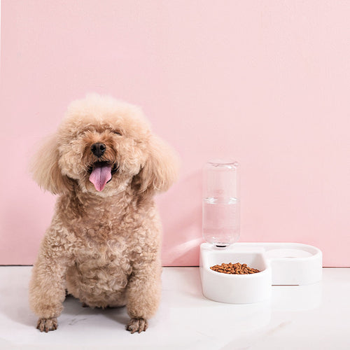 Heart-shaped pet feeding station with water dispenser
