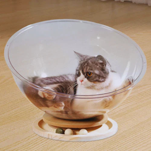 Cat relaxing in the PurrPlay Pod