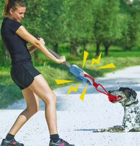 PlayPal interactive dog tug toy