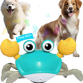 Dancing crab interactive pet toy