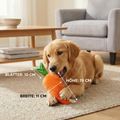 Squeaky carrot dog toy for stress relief and play