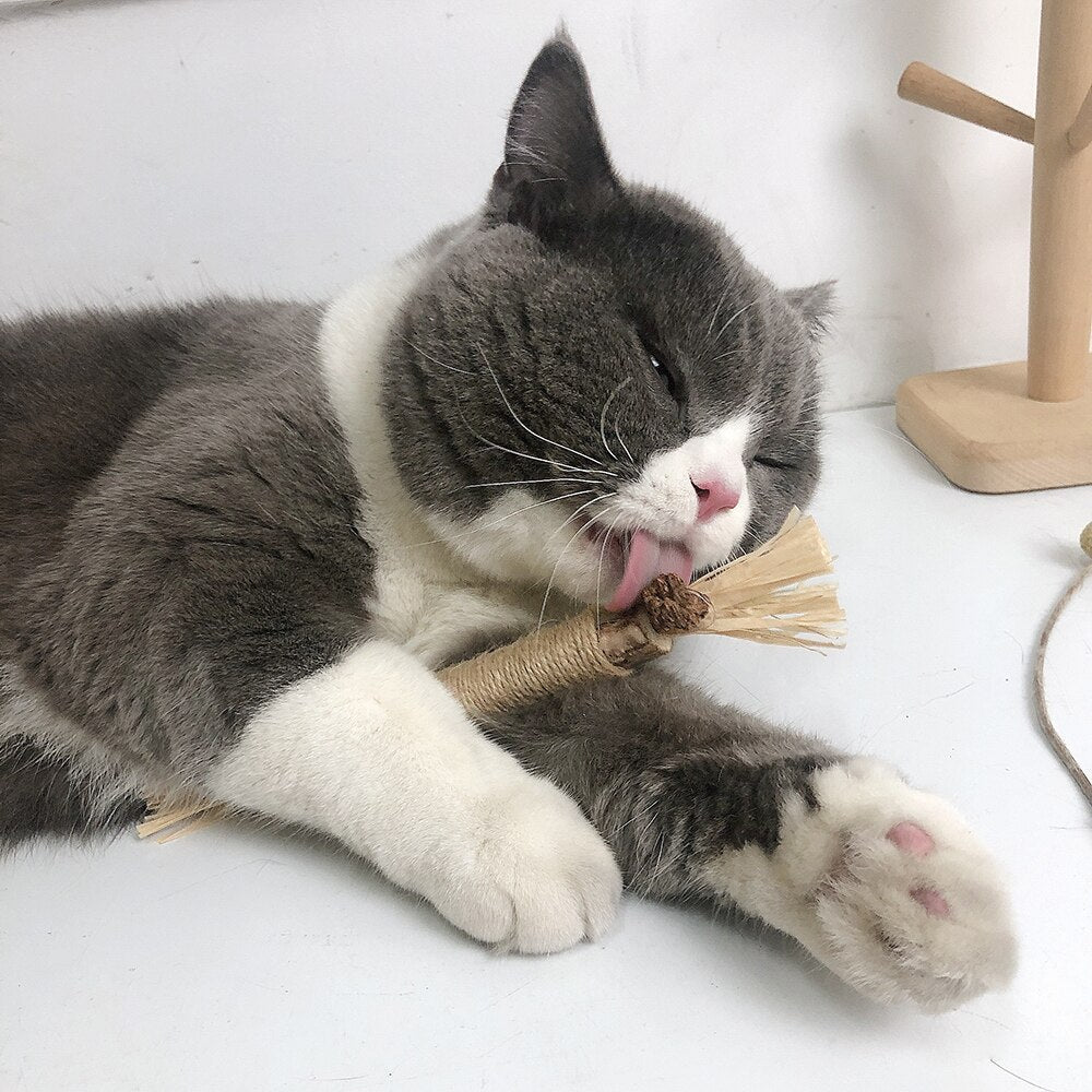 Five-pack of interactive cat chew sticks in packaging
