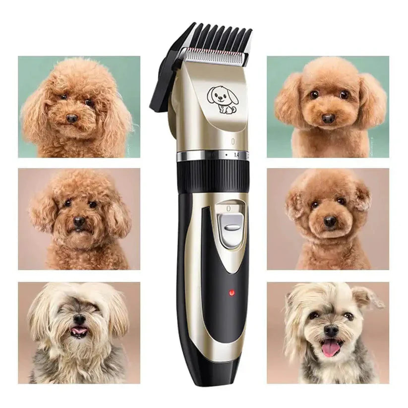 Trimming a dog's coat with the quiet clipper