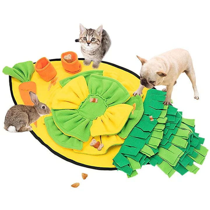 Snuffle mat designs for dogs