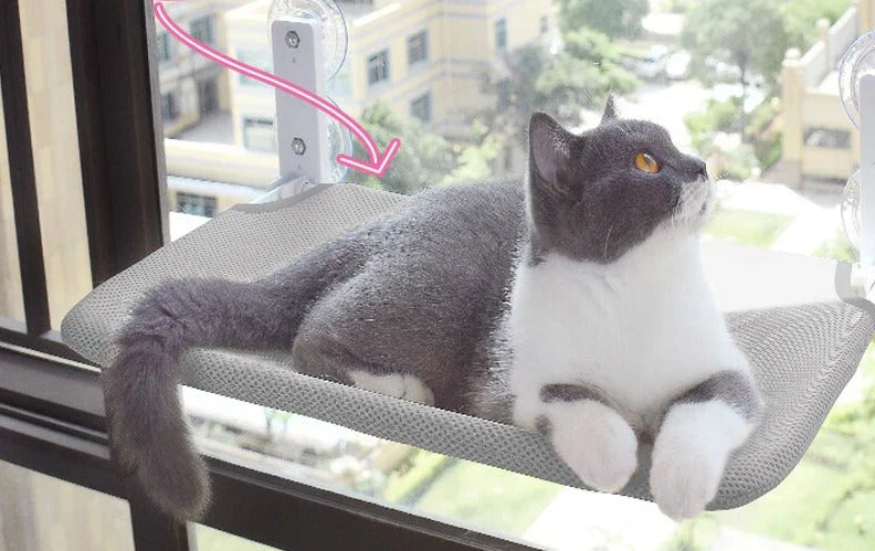 Cat relaxing in the window-mounted lounger