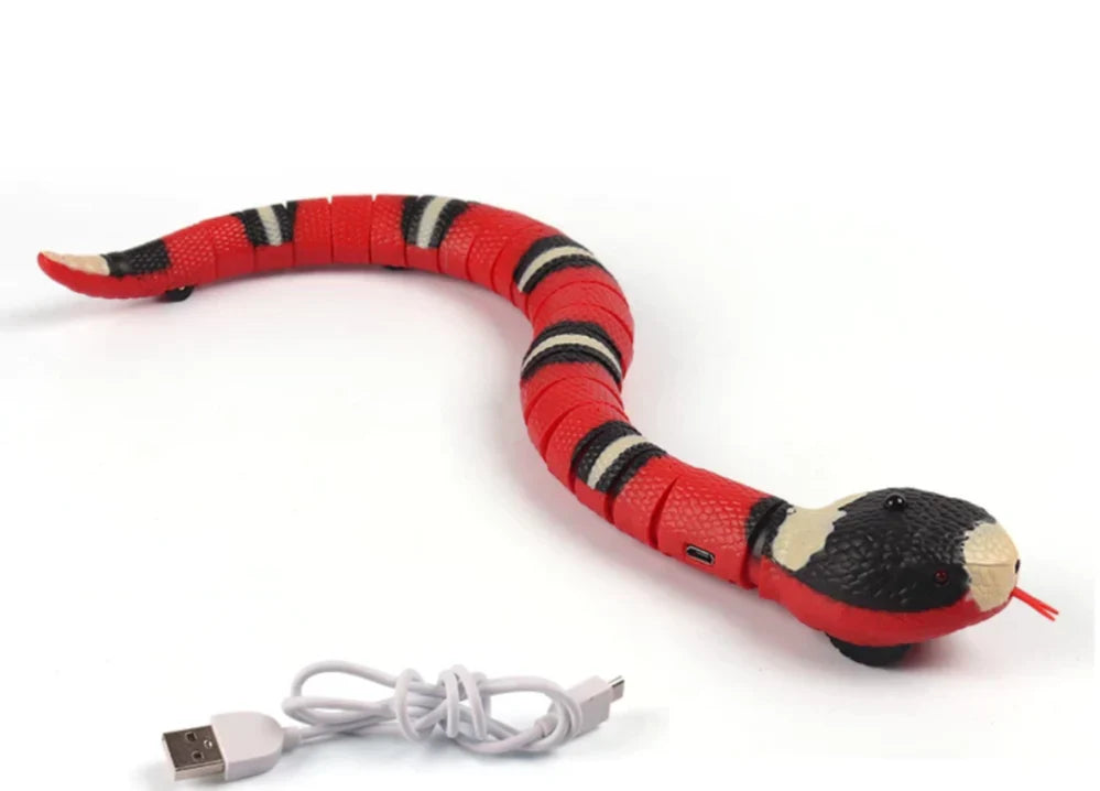 Cat pouncing on the moving HuntMaster snake toy