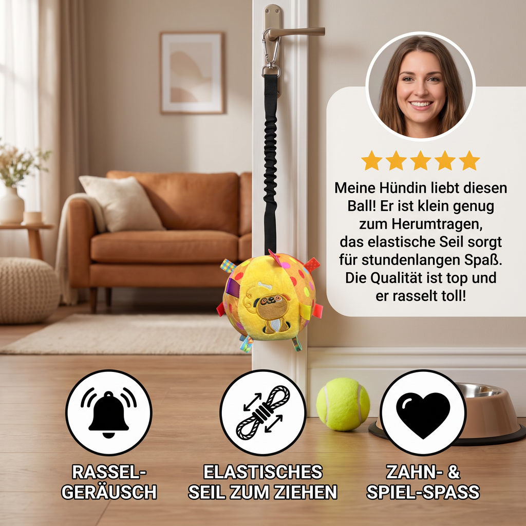 Interactive Hanging Dog Toy with Elastic Play Rope &amp; Hook