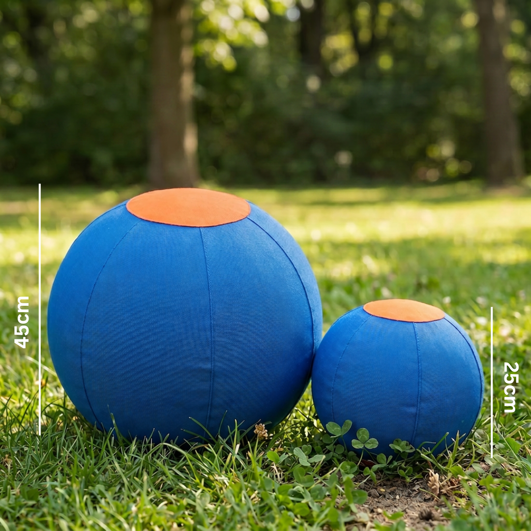 Durable training ball with cover for dogs