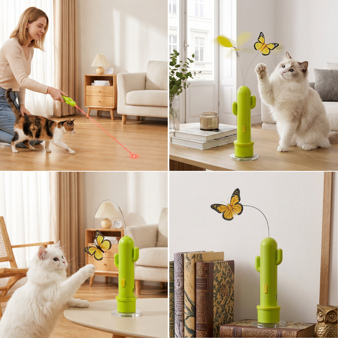 Laser function of the 2-in-1 cat toy