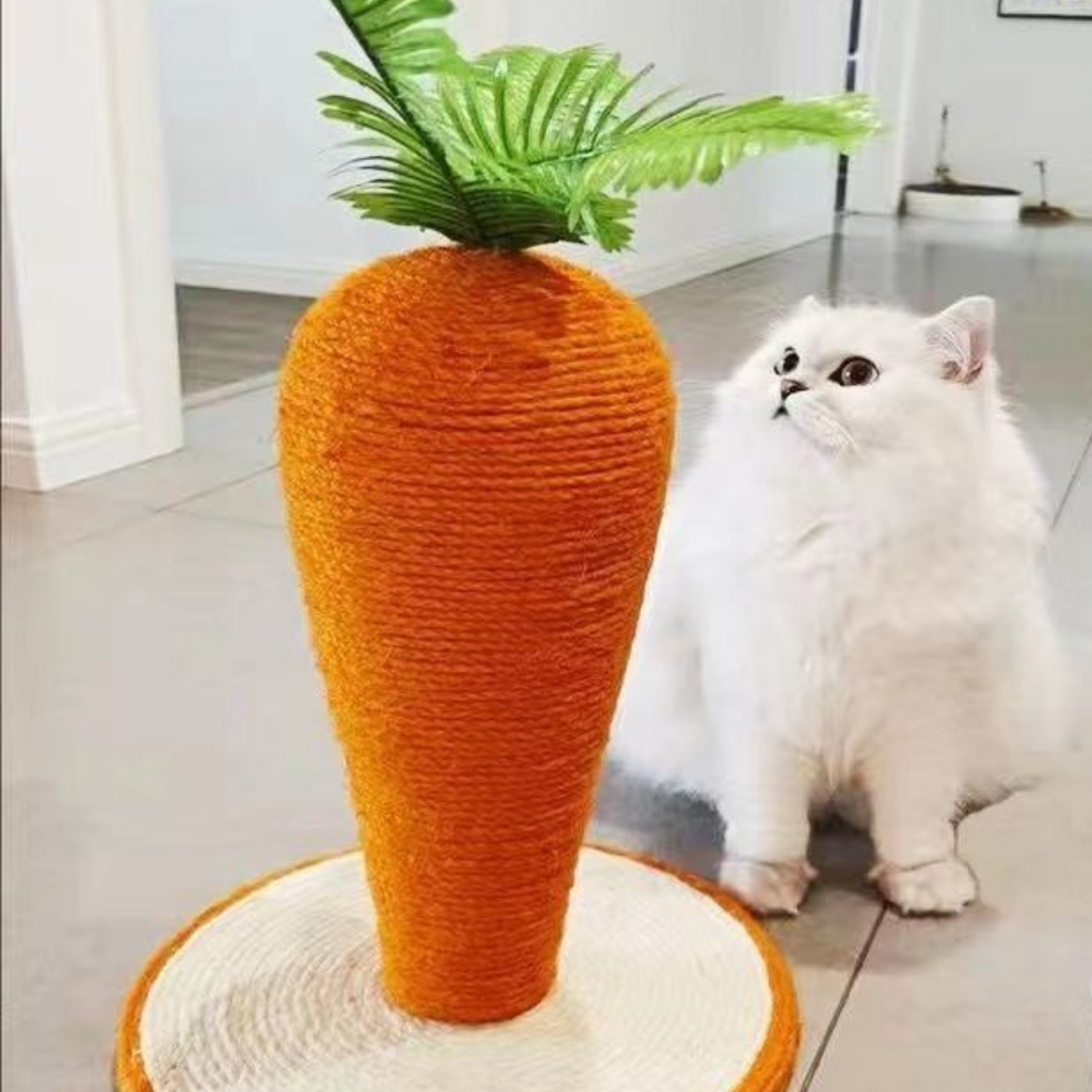 Carrot sisal cat scratcher