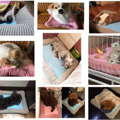 FrostBuddy self-cooling pet mat