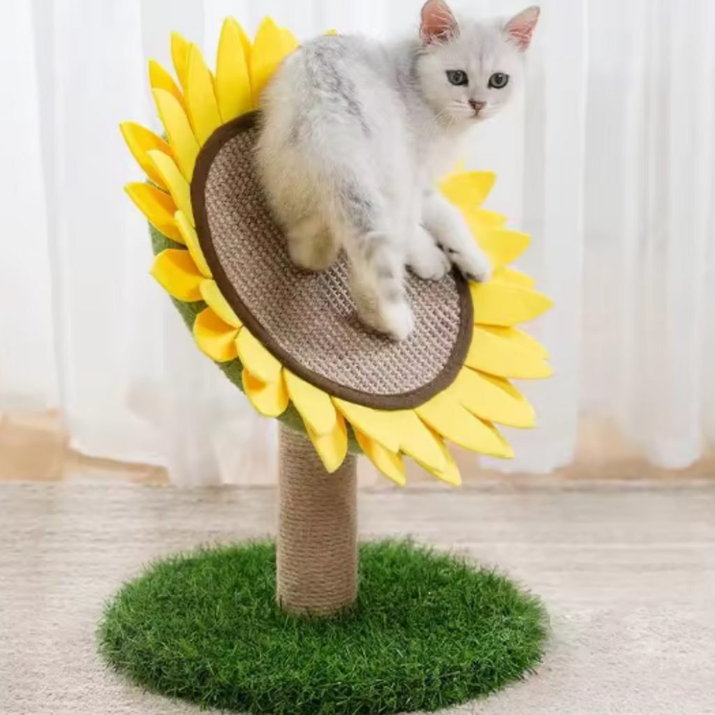 Sunflower sisal cat scratcher