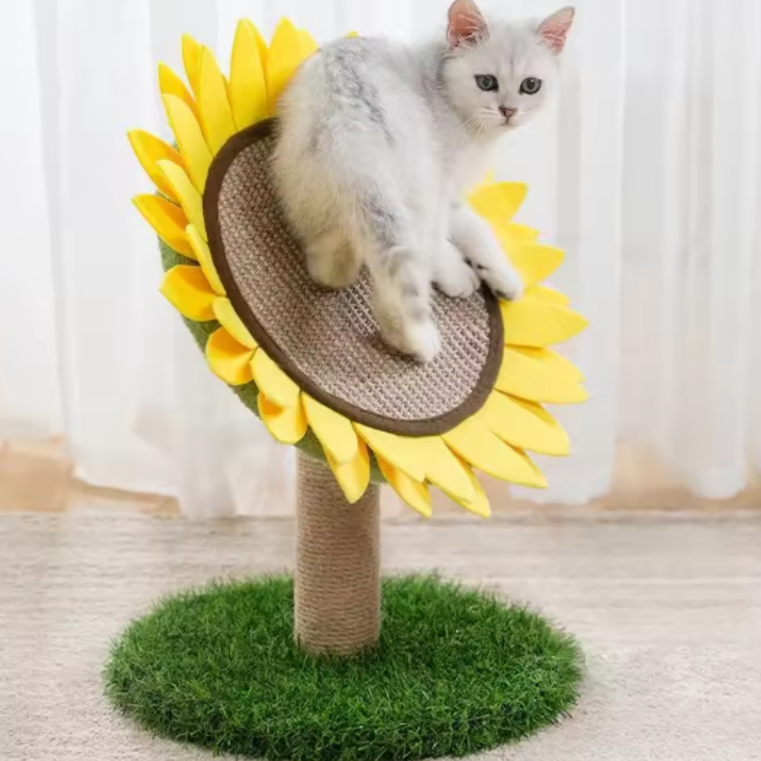 Sunflower sisal cat scratcher