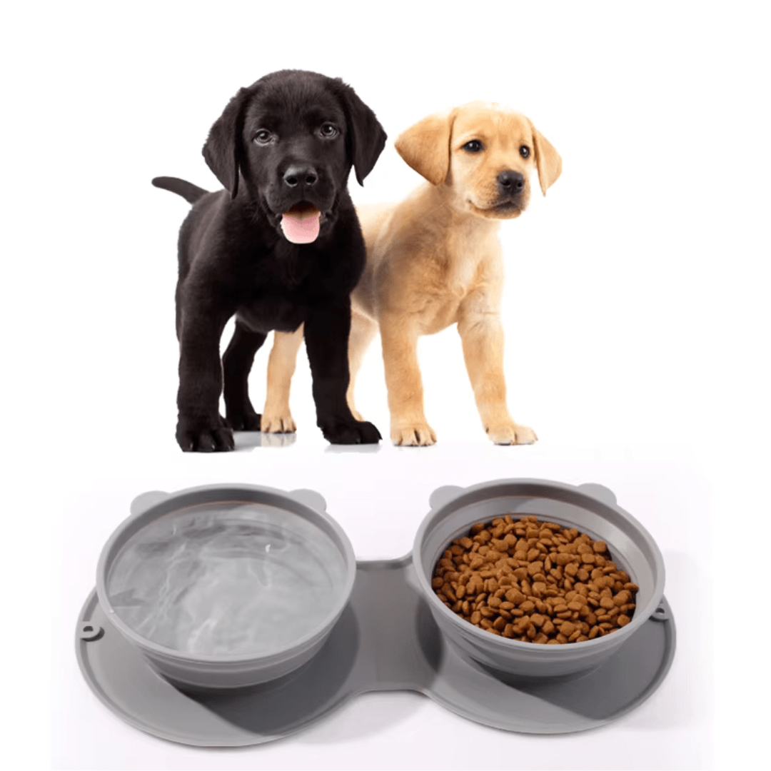 2-in-1 travel pet bowl with carabiner clip