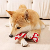 DentalBuddy rope dental toy for dogs