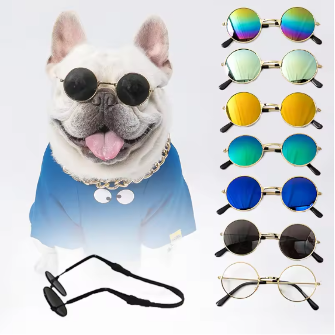 Novelty pet sunglasses for cats